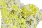 Striking Sulfur Crystals on Fluorescent Aragonite - Italy #282575-2